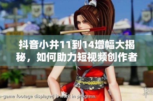 抖音小井11到14增幅大揭秘，如何助力短视频创作者成功