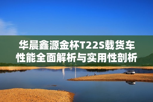 华晨鑫源金杯T22S载货车性能全面解析与实用性剖析