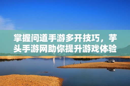 掌握问道手游多开技巧，芋头手游网助你提升游戏体验的绝佳选择