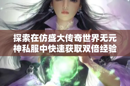 探索在仿盛大传奇世界无元神私服中快速获取双倍经验的秘诀