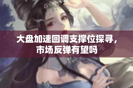 大盘加速回调支撑位探寻，市场反弹有望吗