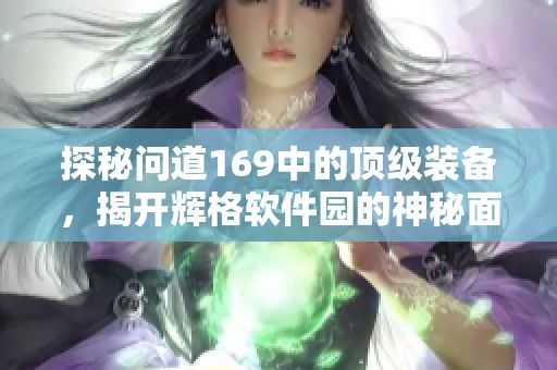 探秘问道169中的顶级装备，揭开辉格软件园的神秘面纱