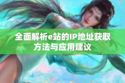 全面解析e站的IP地址获取方法与应用建议