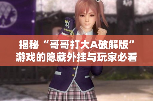 揭秘“哥哥打大A破解版”游戏的隐藏外挂与玩家必看技巧