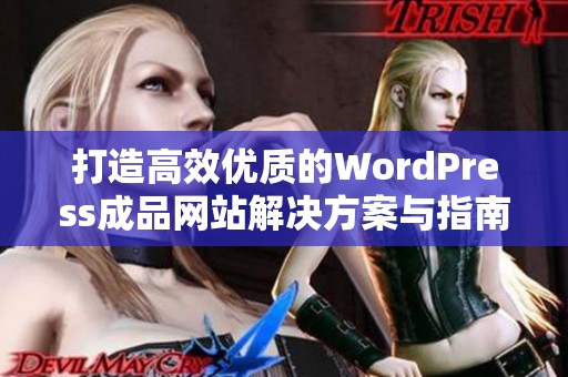 打造高效优质的WordPress成品网站解决方案与指南