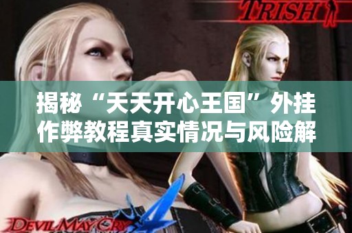 揭秘“天天开心王国”外挂作弊教程真实情况与风险解析