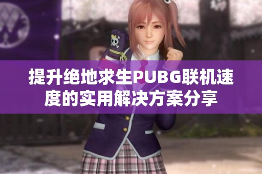 提升绝地求生PUBG联机速度的实用解决方案分享